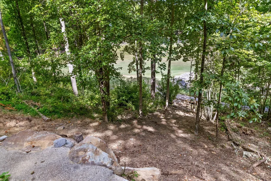 Wooded hillside below the house looking down toward the fairway