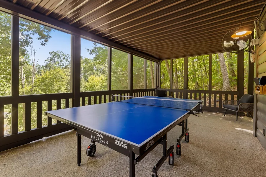 Ping pong table on the newly screened porch with the hardwoods beyond
