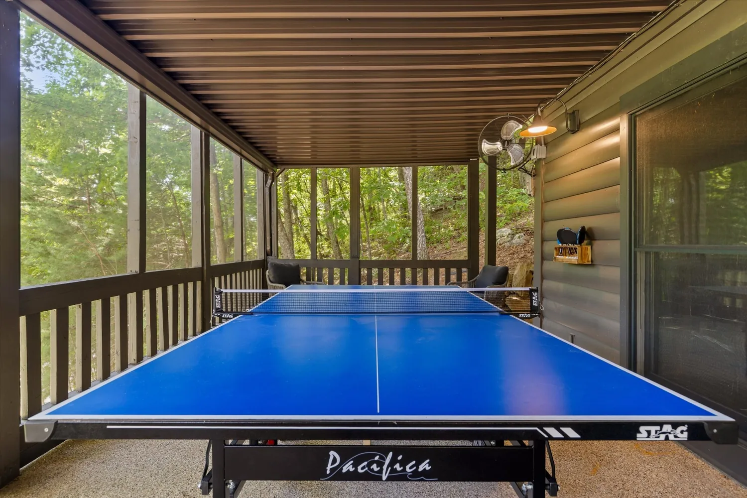 Ping pong table on the newly screened porch with the hardwoods beyond